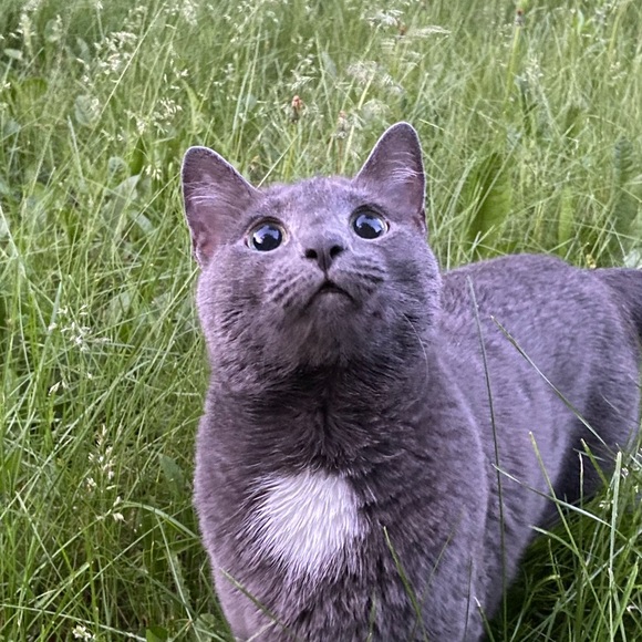 Meet the Posher Other - Meet your Posher, Delana